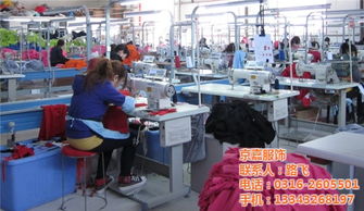 t恤衫工廠,京嘉服飾 已認(rèn)證 ,t恤衫最低優(yōu)惠價格